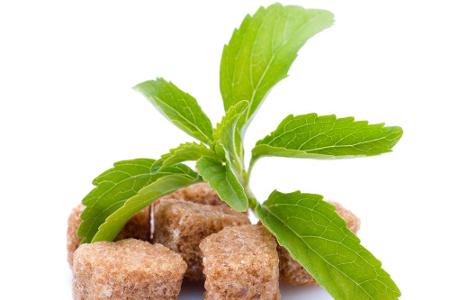 Stevia: Erinnert optisch an Minze, schmeckt aber extrem süß. Viel stärker als Zucker, deswegen sparsam einsetzen.