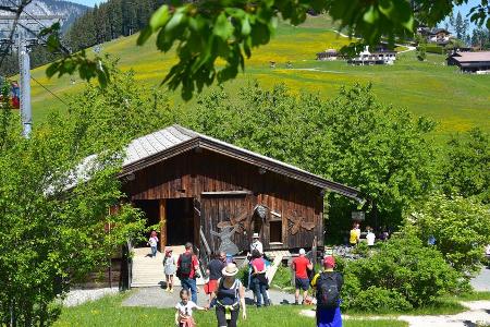 Immer umschwärmt: Das Bienenhaus