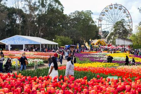 Platz 3: Canberra. Dabei handelt es sich zwar um die Hauptstadt Australiens, aufgrund ihrer Größe und auch der 