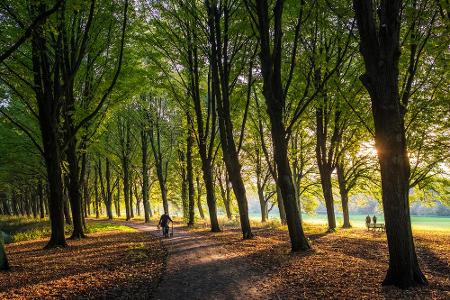 Größer, aber dafür weniger beliebt ist der 