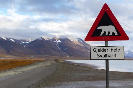 In der Gegend um Longyearbyen leben mehr Eisbären als Menschen