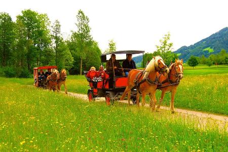 Kutschenfahrt mit Franz Köck und seinem Haflinger-Gespann