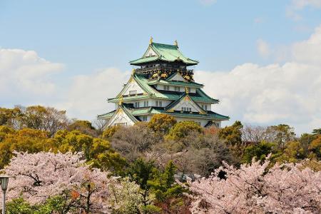 Von 600 Kirschbäumen umringt lugt Burg Osaka in Japan aus dem Blütenmeer hervor. Diente der Bau zwischenzeitlich als Kaserne...