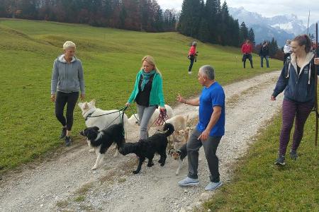 Cesar Millan (r.) gibt Anweisungen beim sogenannten 