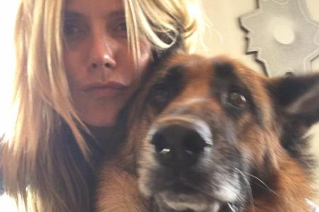 Auch tierische Selfie-Unterstützung holt sich die Blondine gerne mal...