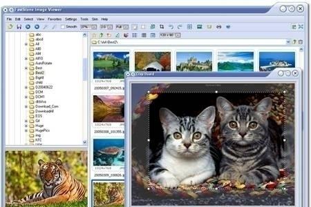 Faststone Image Viewer ist ein Betrachter für Bilder in gängigen Formaten, der Zwei-Monitor-Systeme unterstützt. Stärke des ...