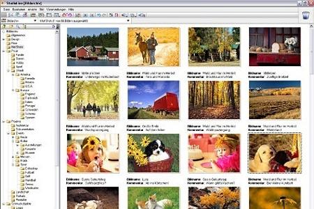 StudioLine PhotoBasic bietet Ihnen als Verwaltungsprogramm für Ihre digitalen Photos alle notwendigen Funktionen, um Ihre Bi...