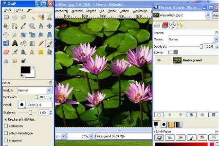 Die Freeware GIMP (GNU Image Manipulation Program) ist ein leistungsfähiges Programm zur Bildbearbeitung. Das Gratis Program...