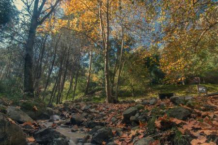In der Serra de Monchique am Nordrand der Algarve wachsen die Wälder. Die Region ist touristisch kaum erschlossen, dennoch i...