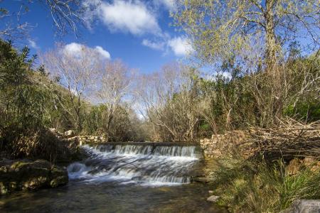 Im Hinterland der Algarve liegt im Grünen die kleine Ortschaft Loule. Der Stadtkern selber ist sehr touristisch ausgeprägt, ...