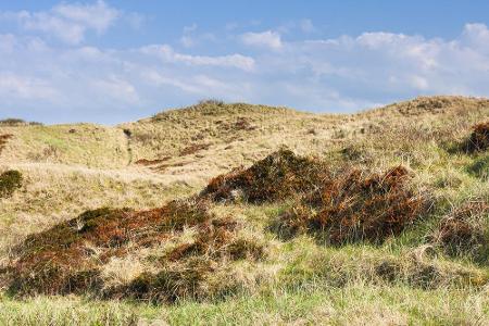 Was für ein Kontrast, wenn man nach den monströsen, weißen Felsen einen Blick auf die grasbewachsenen Dünenlandschaften Nord...