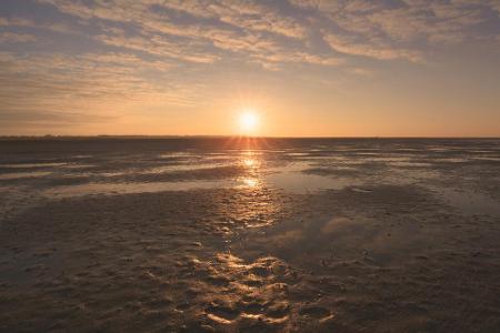 ... das Tor zum Wattenmeer. Mittendrin - mit den Füßen knöcheltief im Schlick - ist eine Wanderung hier eigentlich Pflicht. ...