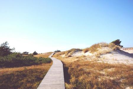 Zurück an die Ostsee, in den Nationalpark Vorpommersche Boddenlandschaft. Der drittgrößte Nationalpark Deutschlands ist im s...