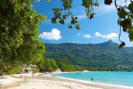 Was für das Ari Atoll gilt, gilt ebenso für den Küstenstreifen Beau Vallon auf den Seychellen. Der bekannteste Strand auf Ma...