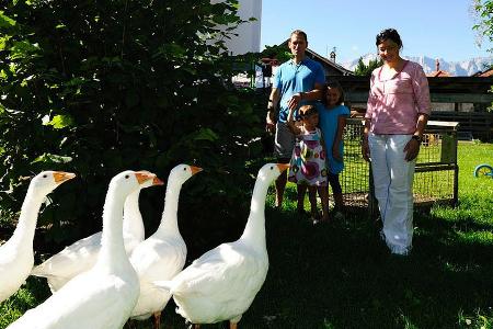 Gänsemarsch beim Besuch auf dem Bauernhof