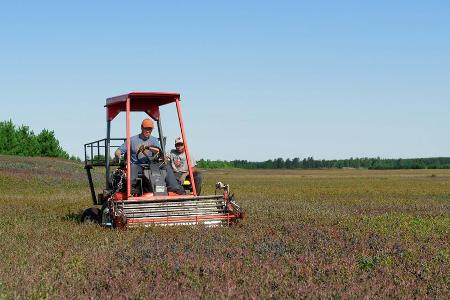 Erntezeit auf einem Feld im kanadischen Bundesstaat Quebec