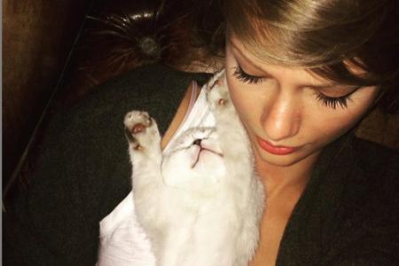 Was Taylor Swift (25) auf ihrer Tour vermisst? Nicht etwa das heimische Bett oder die Ruhe - nein, sie vermisst ihre Katze, ... Was Taylor Swift (25) auf ihrer Tour vermisst? Nicht etwa das heimische Bett oder die Ruhe - nein, sie vermisst ihre Katze, ...