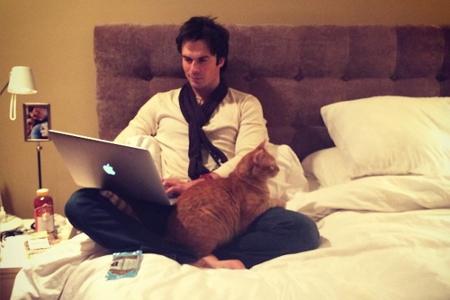 Auch Serien-Kollege Ian Somerhalder (36) zählt sich zu den Katzen-Freunden. Überhaupt ist er ein echter Tier-Fan und setzt s...