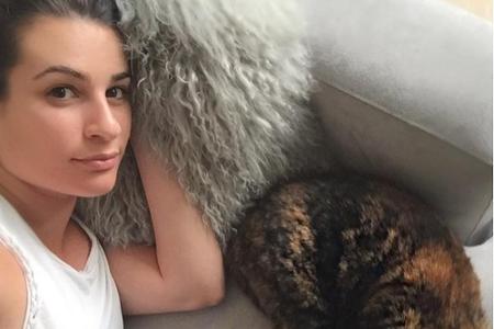 Auf dem Sofa mit der Katze knuddeln - was gibt es Schöneres? Für Lea Michele (28) offenbar nichts. Auf ihrem Instagram-Profi...