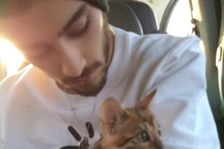 Ex-Boyband-Schwarm Zayn Malik (22) braucht bei dem ganzen Star-Rummel auch mal seine Ruhe und eine Streicheleinheit. Die hol...