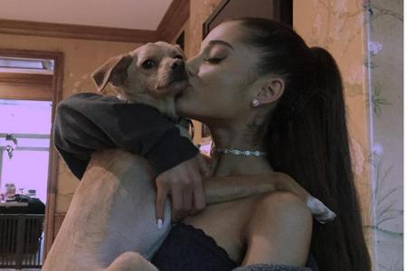 Sie lässt keine Gelegenheit aus, ihrem Hund zu zeigen, wie gern sie ihn hat: Pop-Sternchen Ariana Grande (22) ist total Toul...