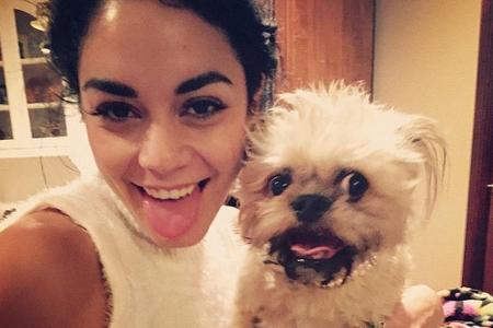 Schauspielerin Vanessa Hudgens (26) hat nichts gegen ein Selfie mit Hund einzuwenden. Der süße Vierbeiner mit den schielende...