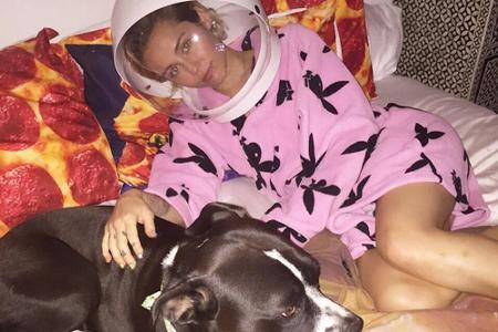 Veganerin Miley Cyrus (22) ist eine echte Tierliebhaberin: Nicht nur Katzen befinden sich in ihrer Obhut, sondern auch Hunde...