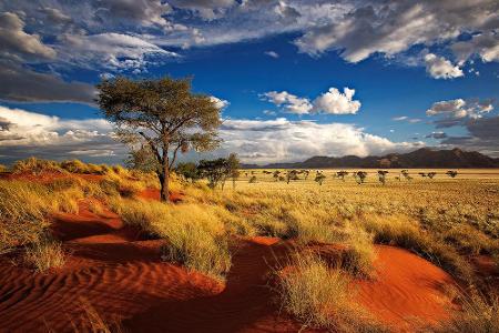 Die große Unbekannte des Rankings heißt Namibia. Das Land hat - im Gegensatz zur landläufigen Meinung - viel mehr zu bieten ...