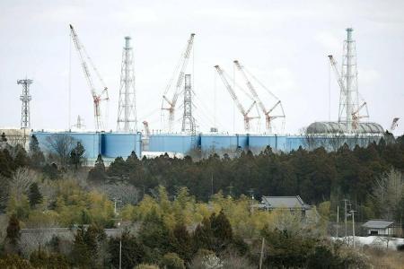 Eine Fläche von München, rund 300 Quadratkilometer um das Atomkraftwerk herum, ist bis heute Sperrgebiet. Nur Personen mit S...