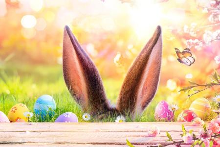 Noch gar nicht richtig in Osterstimmung? Abhilfe könnten Android-Apps wie 