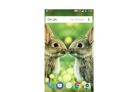 Die App bietet zahlreiche Hasen-Hintergründe für das Smartphone, die jeden noch so großen Ostermuffel in Stimmung bringen so...