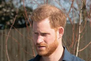 Prinz Harry spricht mit Oprah Winfrey über Prinzessin Diana