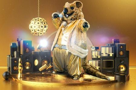 Das Quokka zeigt sich als goldiger DJ-Nager. Das Quokka zeigt sich als goldiger DJ-Nager.