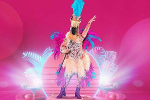 "The Masked Singer": Der Flamingo geht an den Start