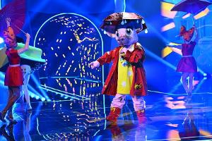 "The Masked Singer": Das Schwein ist demaskiert