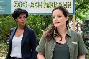 TV-Tipps am Dienstag