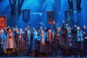 Premiere von "Harry Potter"-Stück in Hamburg auf Dezember verschoben
