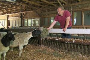 "Bauer sucht Frau": Zwei weitere Landwirte stehen fest