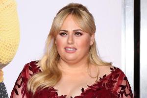 Rebel Wilson wurde dafür bezahlt, "dick zu sein"