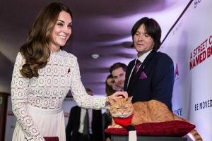 Prominenter Fan: Herzogin Kate streichelt Bob bei der Premiere zu "A Street Cat Named Bob" 2016 in London