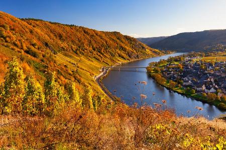 Im Herbst lockt die Moselregion viele Touristen an