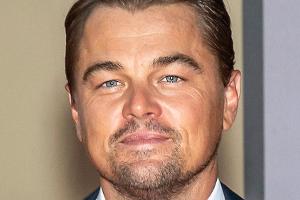 Leonardo DiCaprio und viele weitere Stars bitten US-Bürger zur Wahl