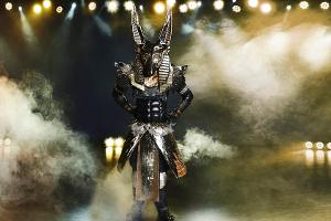 "The Masked Singer": Das sind alle zehn Kostüme