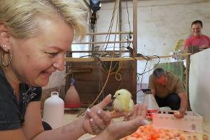 "Bauer sucht Frau": So viel Gefühl!