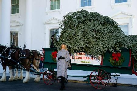 Melania Trump nimmt den Weihnachtsbaum für das Weiße Haus in Empfang