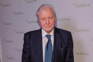Nach seinem Rekord: Sir David Attenborough hat Instagram verlassen