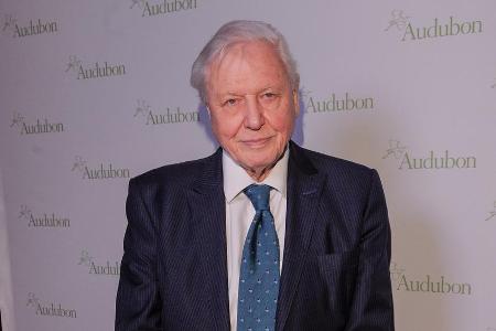 Sir David Attenborough hat Instagram wieder verlassen