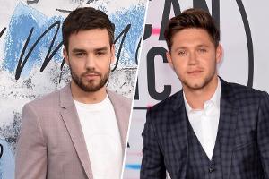 One Direction: Liam Payne hatte wegen Niall Horans Herkunft Zweifel