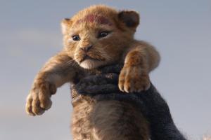 "Der König der Löwen": Fortsetzung der Neuverfilmung in Planung