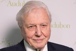 Tierfilmer Sir David Attenborough stellt neuen Instagram-Rekord auf